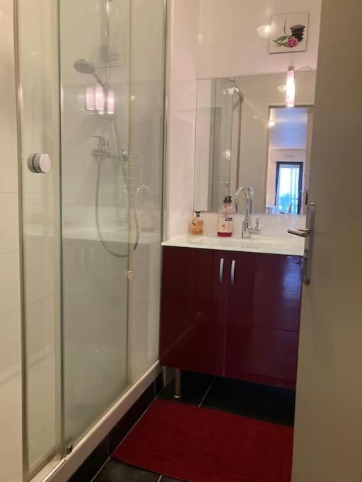 T3 - 62M2 - Parking Prive - Metro Apartment Toulouse Bagian luar foto